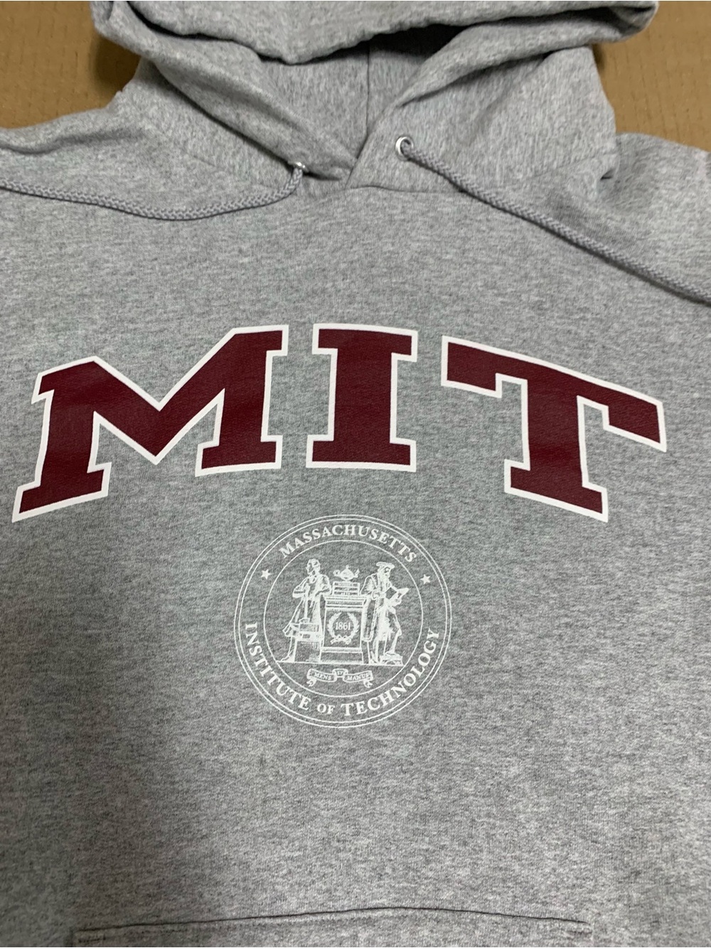 Champion MIT College Men's MEDIUM Hoodie Gray Sweatshirt Drawstring Pullover